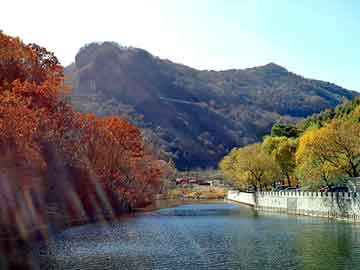 新澳天天开奖资料大全旅游团，颈腰骨康丸